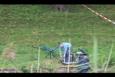 IMG 4433