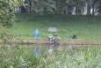 IMG 5932