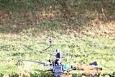 Img 7021 42452541500 o