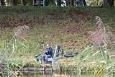 Img 7036 44211604722 o