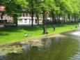 Schoolvis 2012 157
