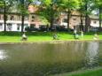 Schoolvis 2012 158
