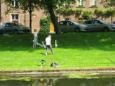 Schoolvis 2012 164
