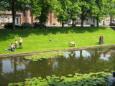 Schoolvis 2012 167