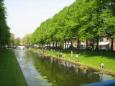 Schoolvis 2012 168