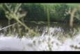 IMG 1075